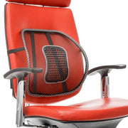 Lumbar Back Support Spine Posture